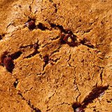 Salty & Sweet Bundle