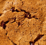 Sea Salt Chocolate Chip